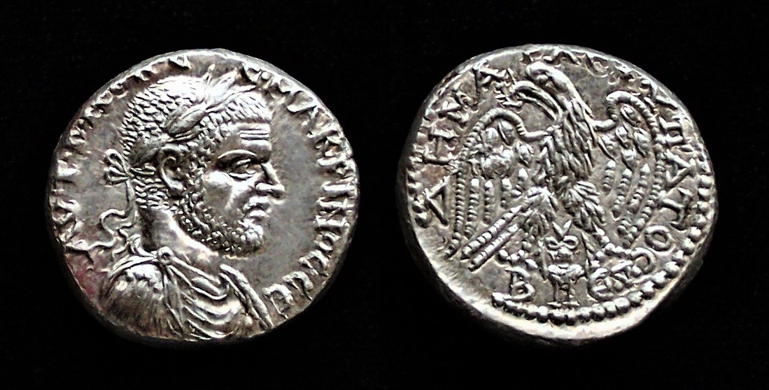 Macrinus Tet (2).jpg