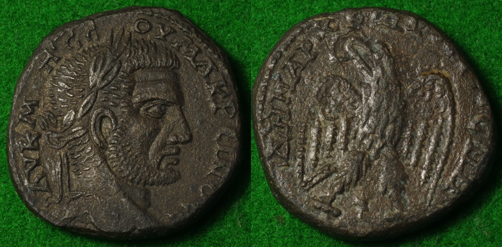 Macrinus Tet Laodocia ad Mare.JPG