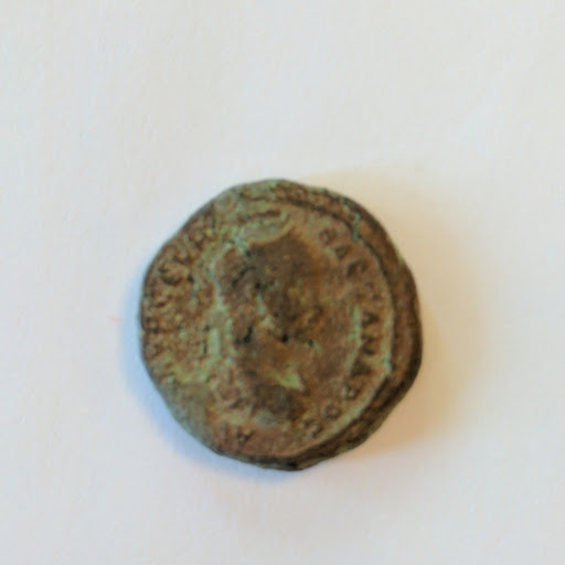 macrinus1.jpg