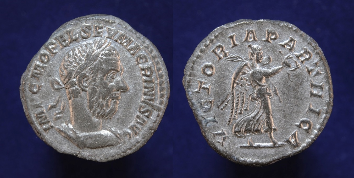 macrinus1.JPG