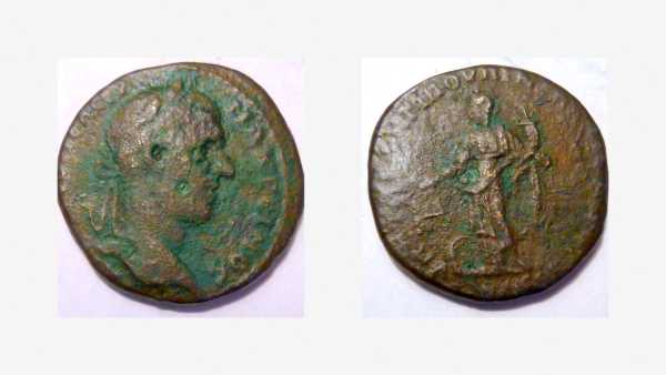 Macrinus1_opt.jpg