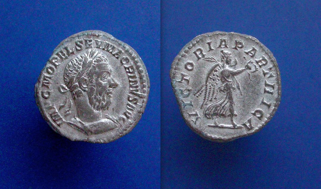 macrinus2.jpg