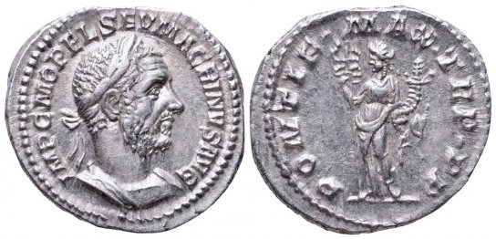 Macrinus2.jpg