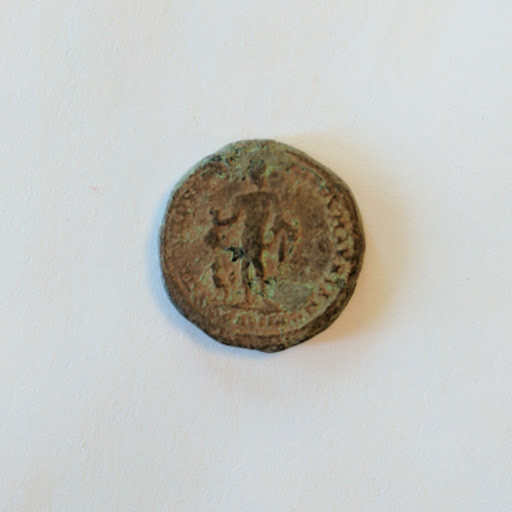 macrinus2.jpg