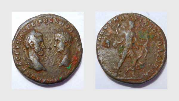 Macrinus2_opt.jpg