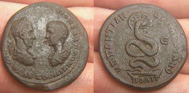 Macrinus4.jpg
