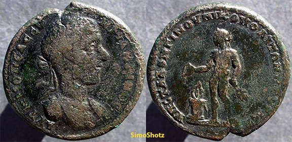 Macrinus4521.jpg