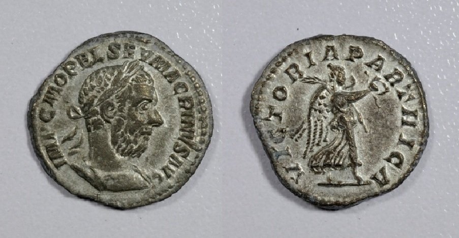 macrinus6.JPG