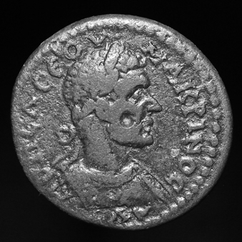 MacrinusOBW339.jpg