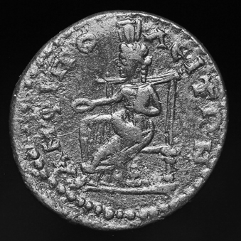 MacrinusRBW339.jpg
