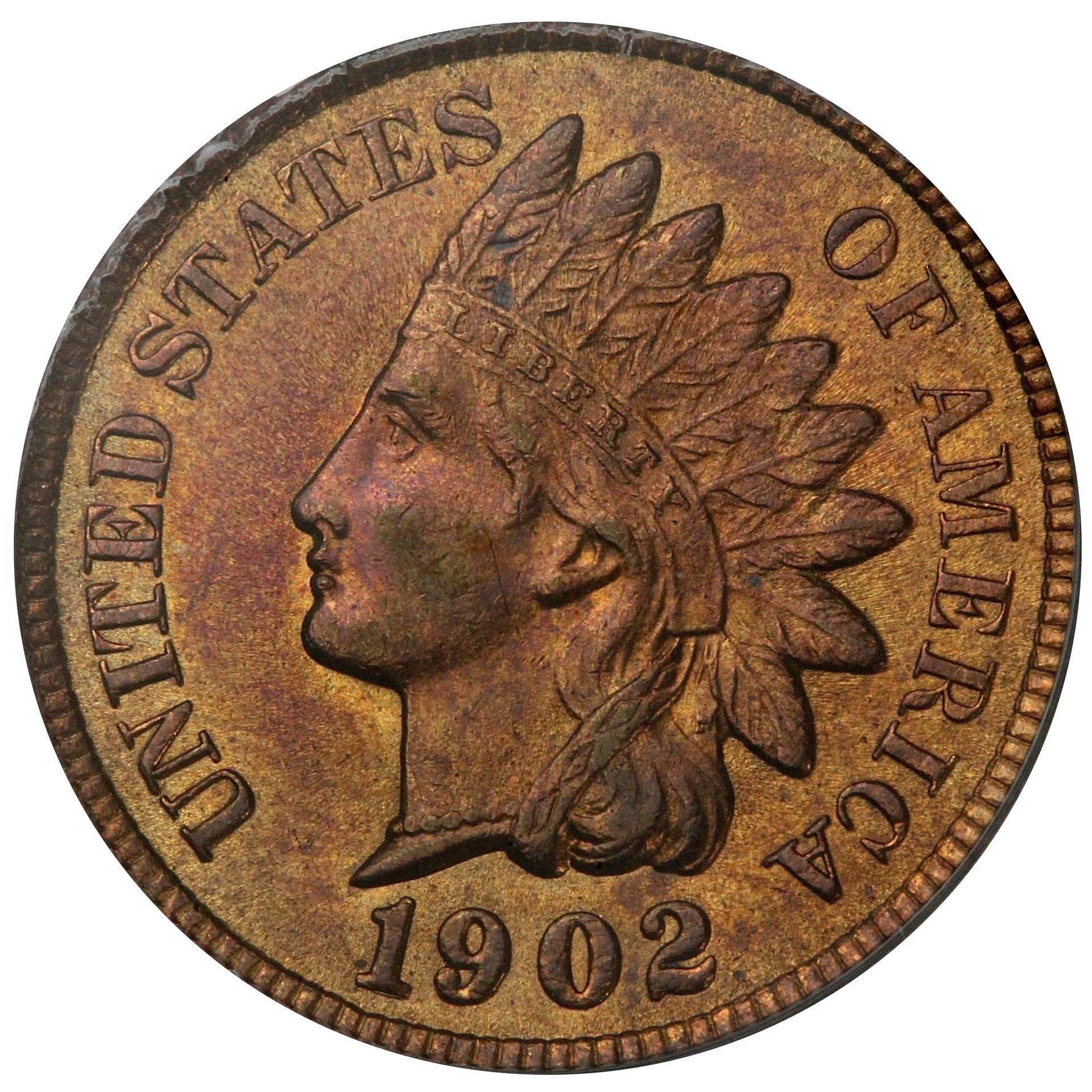 macro1902.jpg