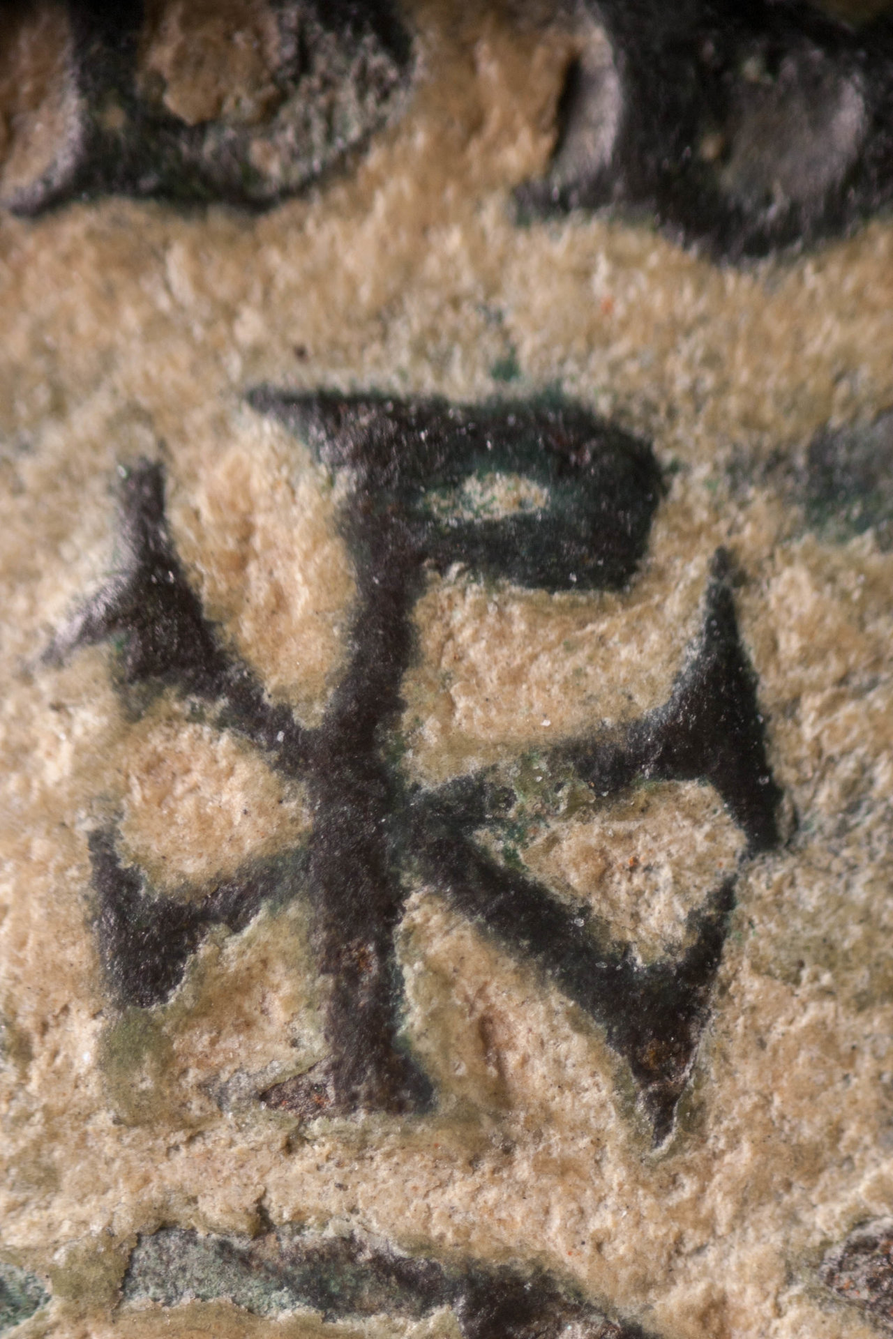 macro3524.jpg