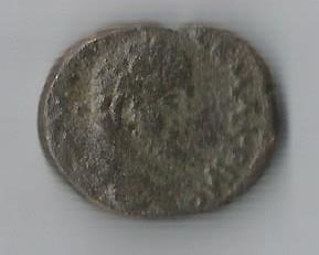 Macrovl O 001.jpg