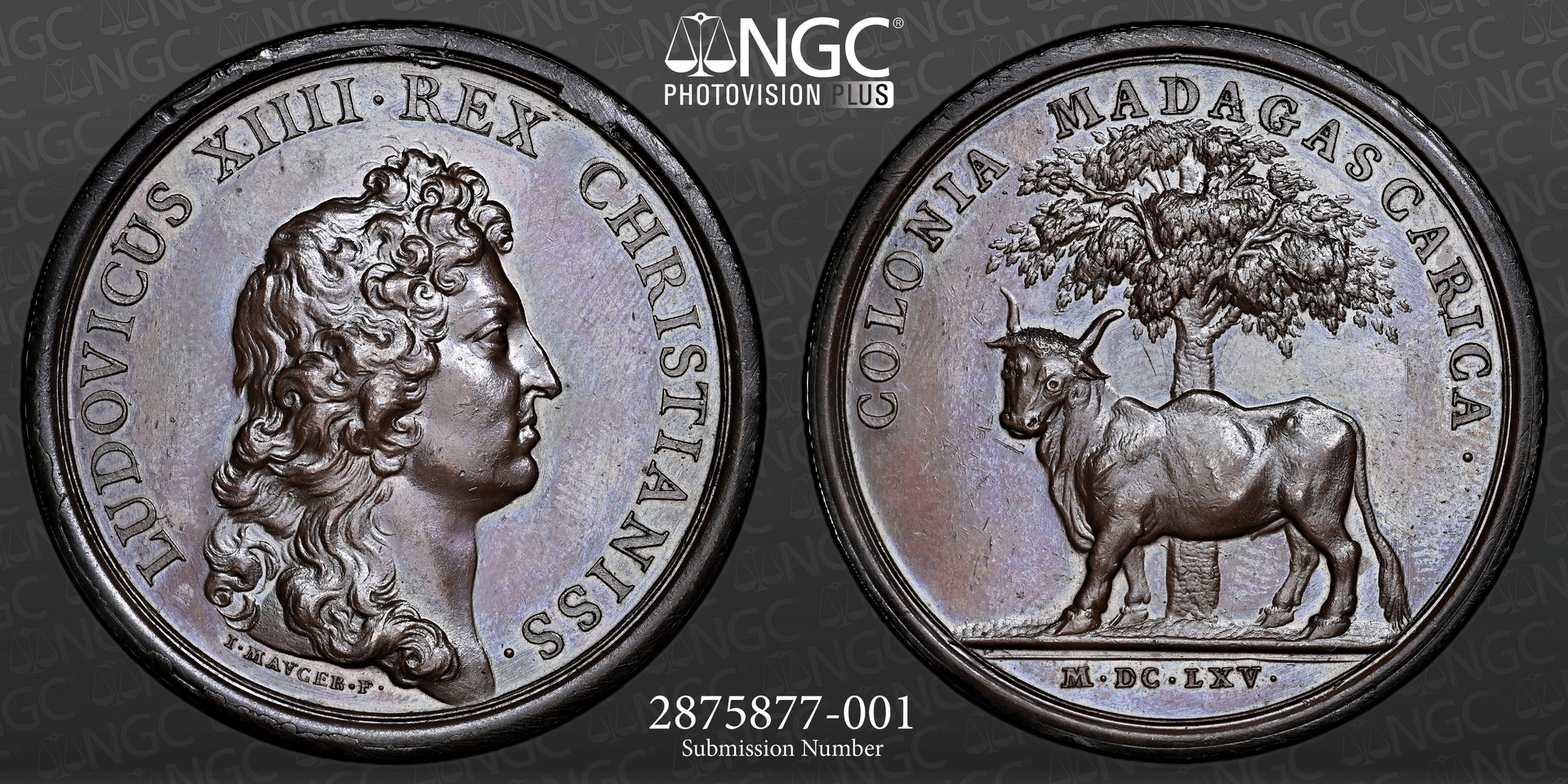 Madagascar-1665-05.gif