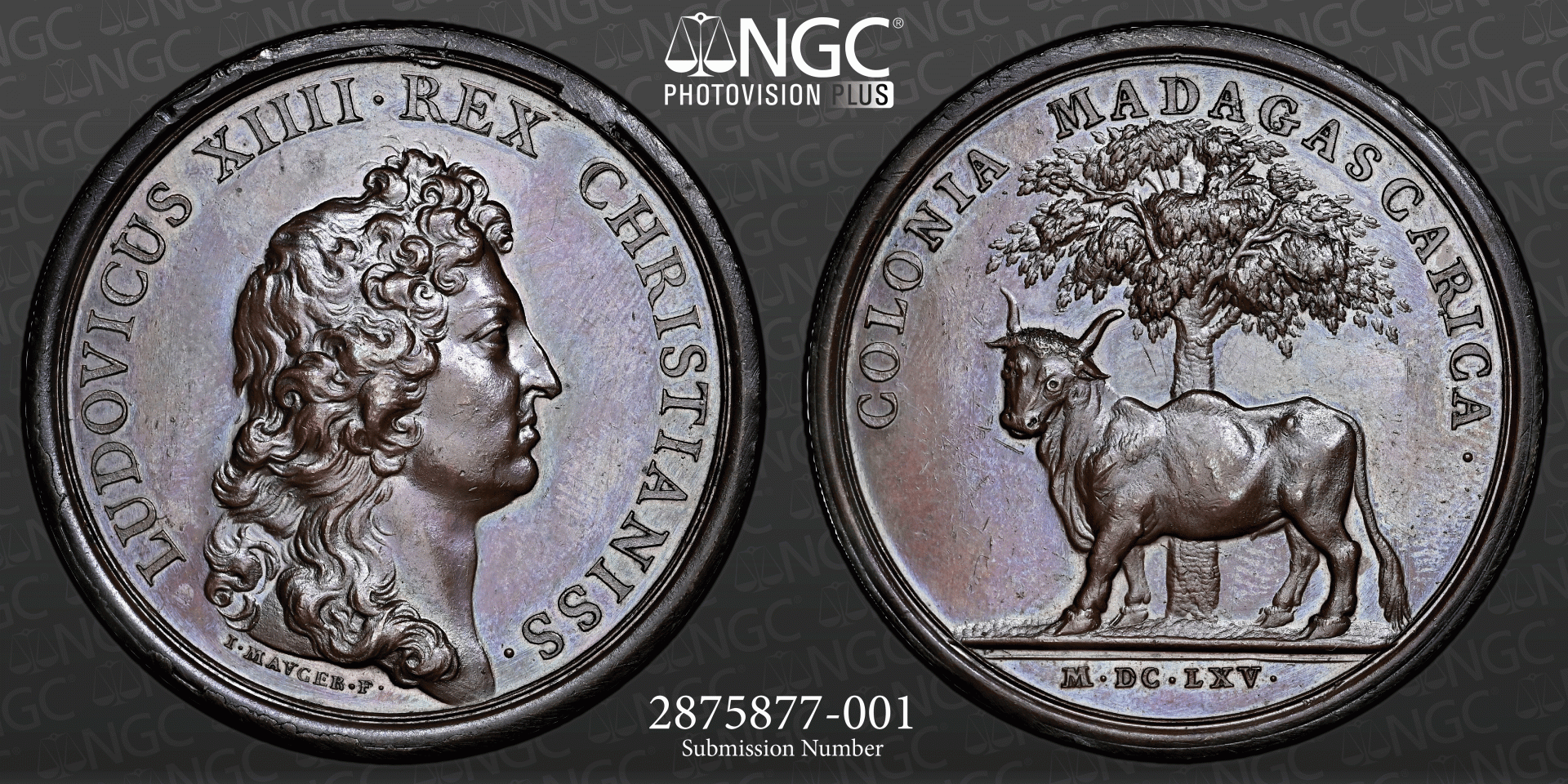 Madagascar-1665-05.gif