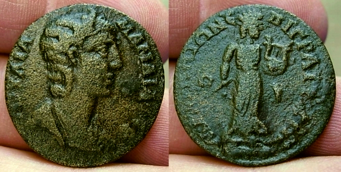 MaeandrumMamaea.jpg