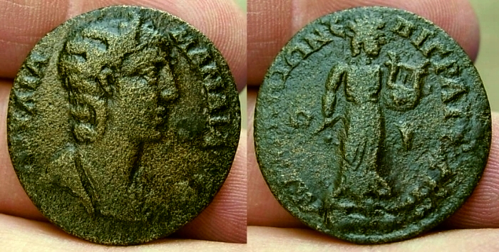 MaeandrumMamaea.JPG