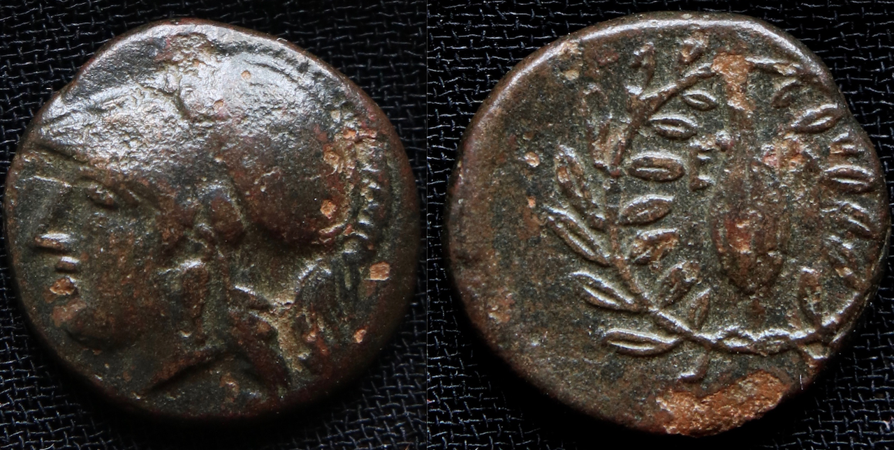 Magna Graecia – Äolien, Elaia, AE10, Athena und Weizenkorn im Kranz.png