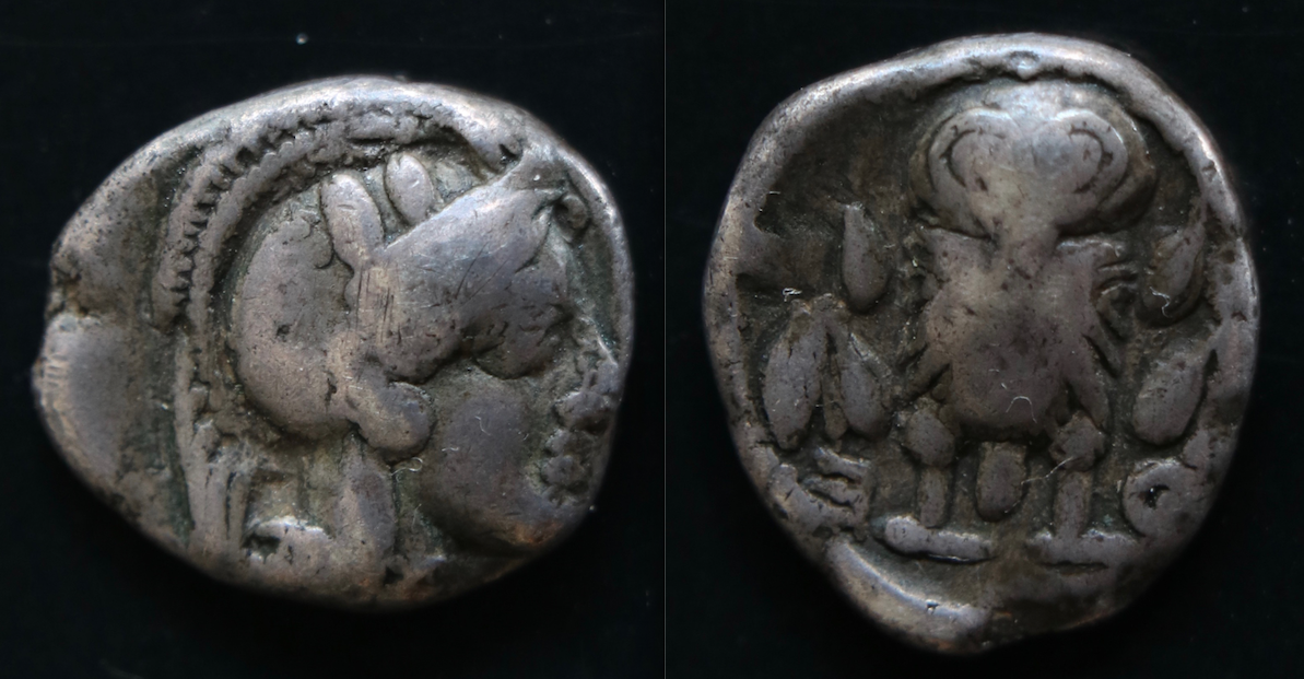 Magna Graecia – Attica, Athen, Hemidrachme, Athena:Eule.png