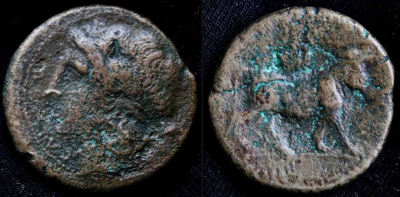 Magna Graecia – Kampanien, Cales, Ae, man-faced bull (neu).png