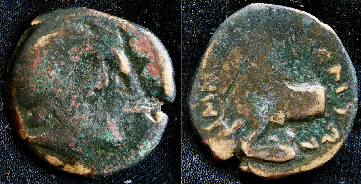 Magna Graecia – Thessalien, Metropoliton, AE, Apollo und Bulle (mit Gegenstempel).png