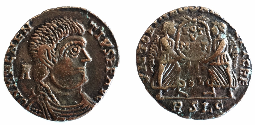 Magnentius barbaricus ct.jpg
