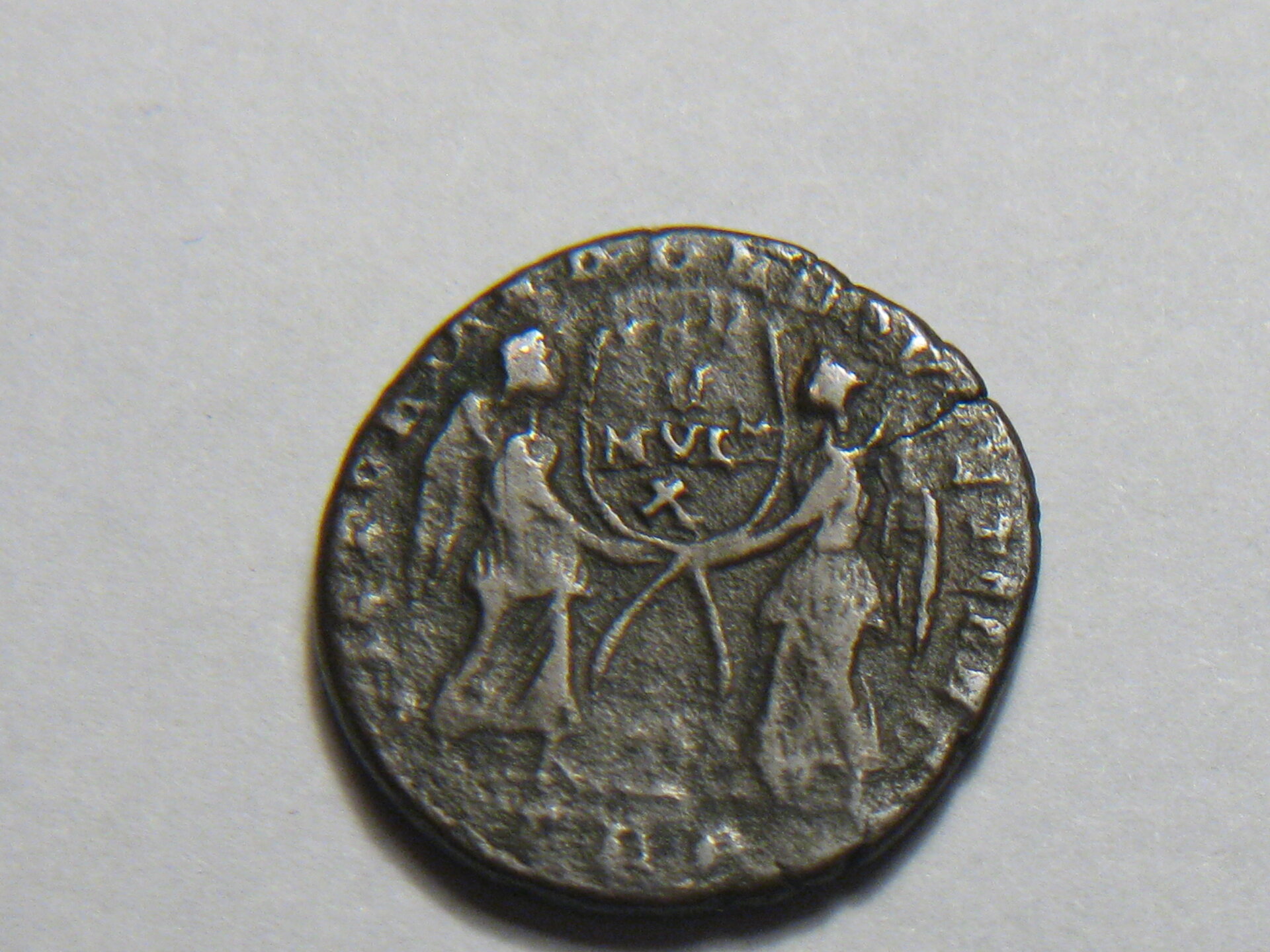 Magnentius maiorina 003.JPG
