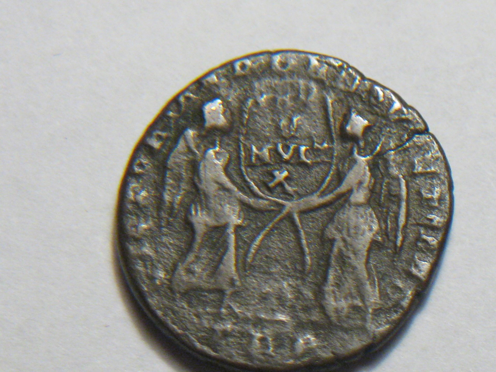 Magnentius maiorina 004.JPG