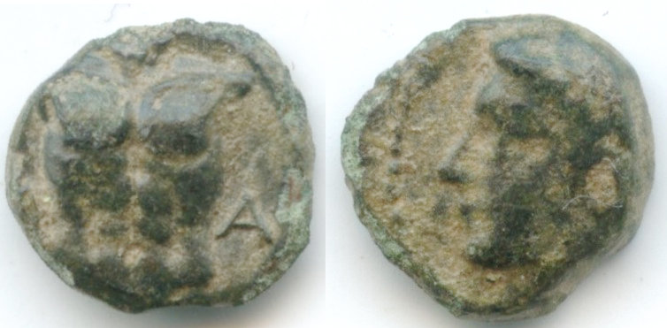 magnesia-0.44g-both.jpg
