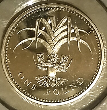 magnifier_20170413_155816-01.jpeg