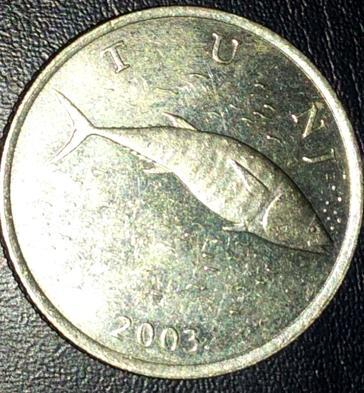 magnifier_20180627_001034-01.jpeg