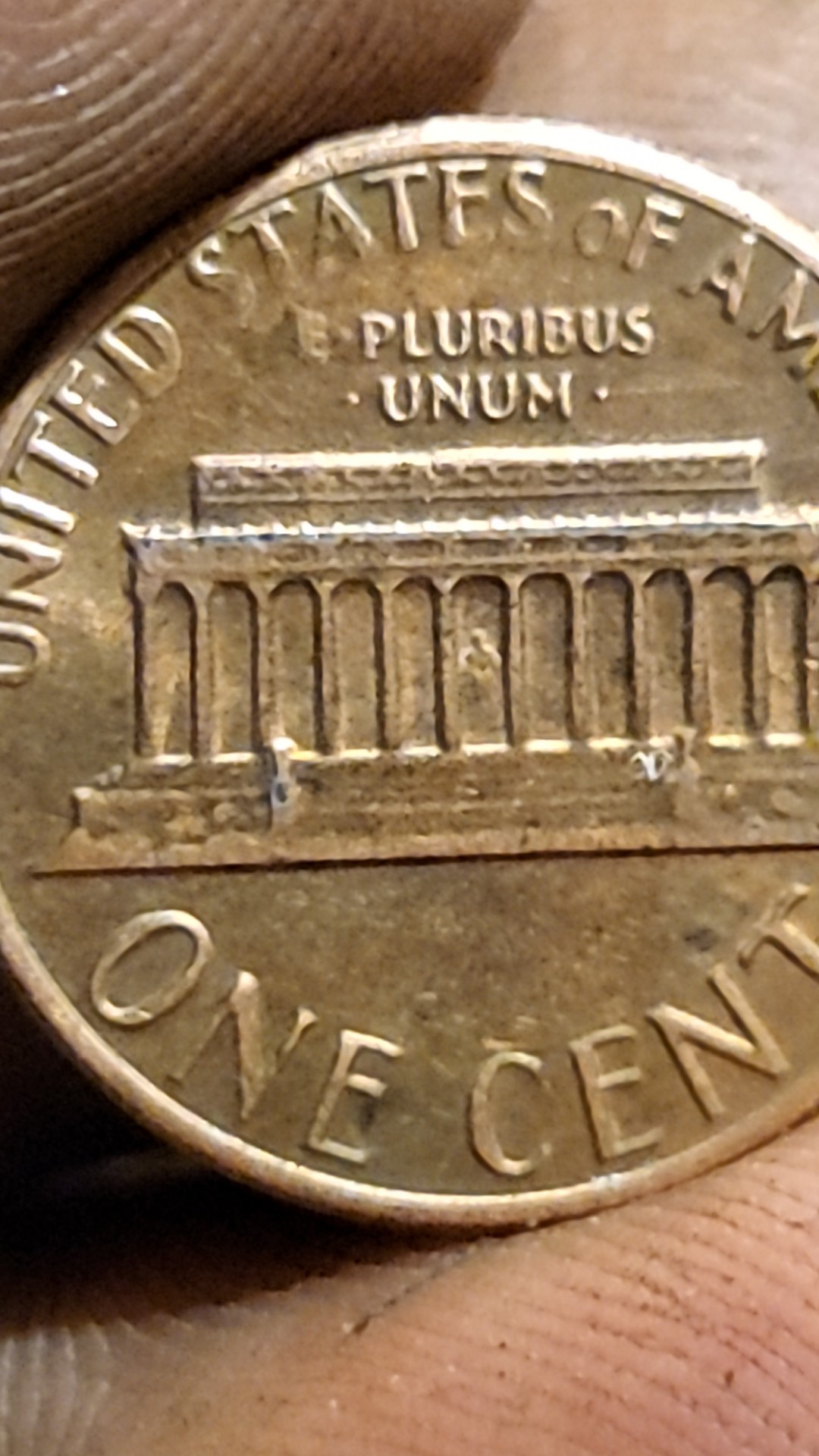 magnifier_20240325_210357.jpg