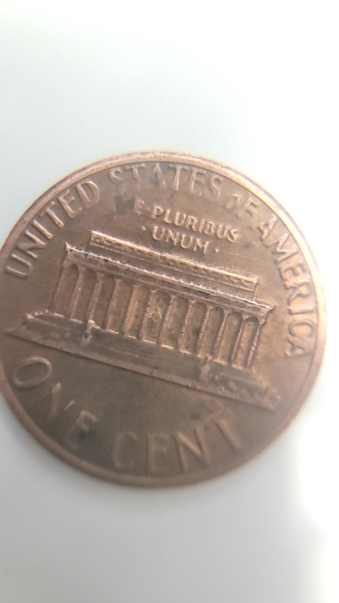 magnifier_20240325_210751.jpg