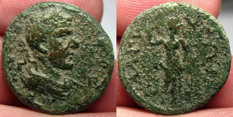 MagydusMacrinus.JPG