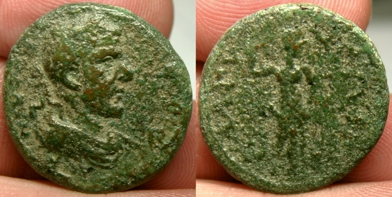 MagydusMacrinus.JPG