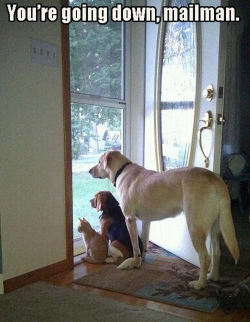 mailman.jpg