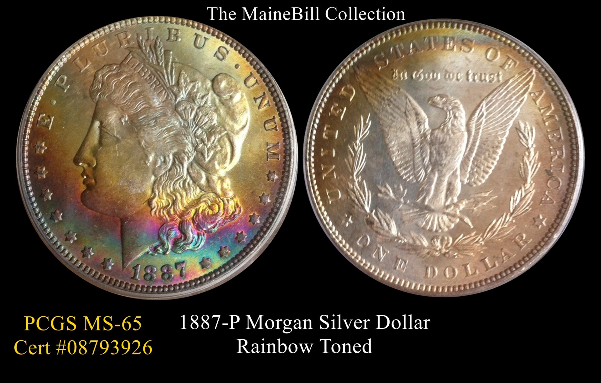 Mainebill 1887 Morgan.jpg