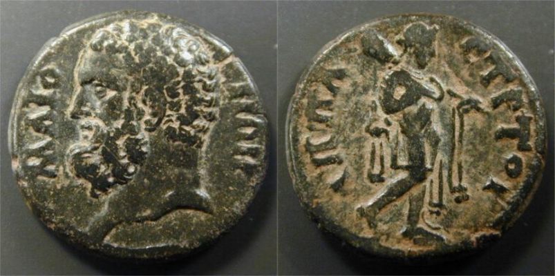 maionia_BMC20.jpg