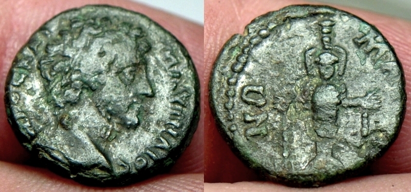 MaioniaMarcus.jpg