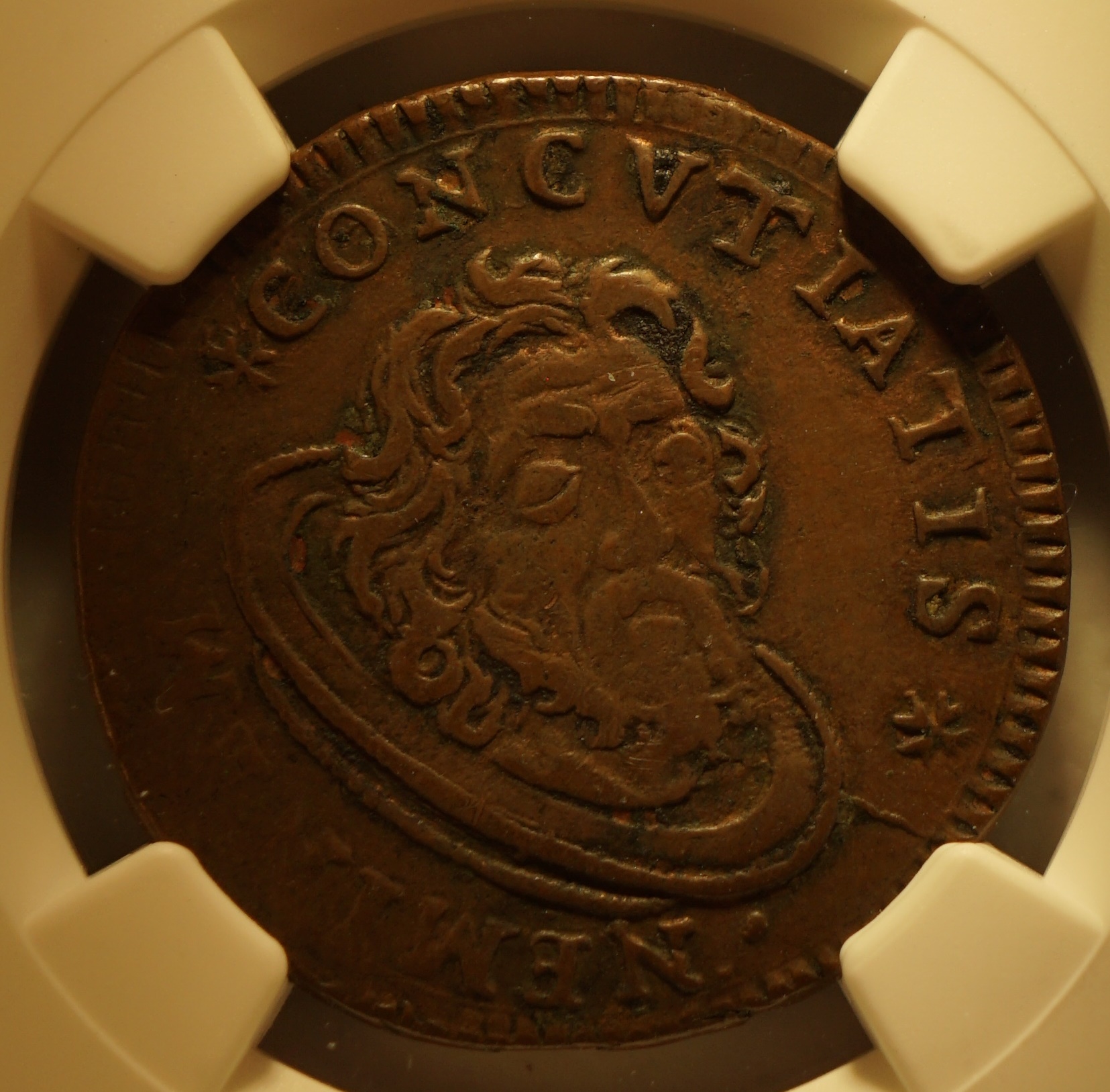 Mal174202.JPG