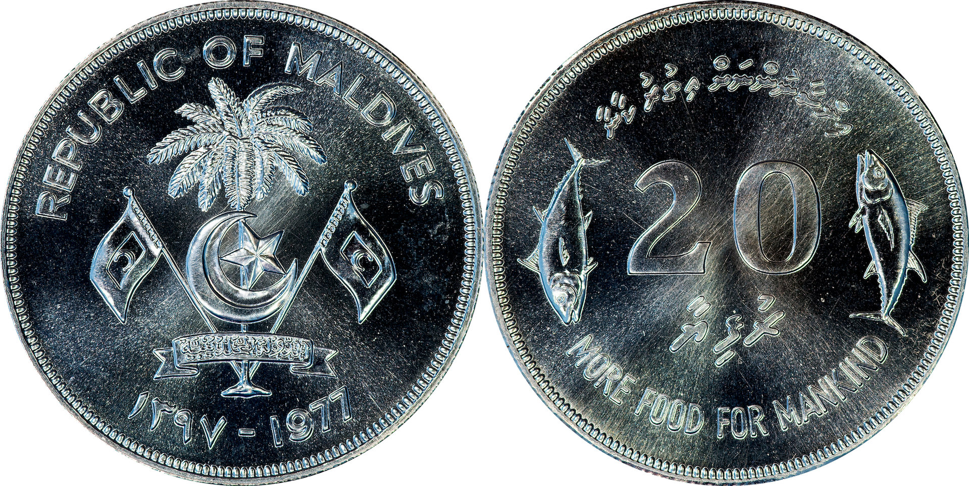 Maldive Islands - 1977 20 Rufiyaa.jpg