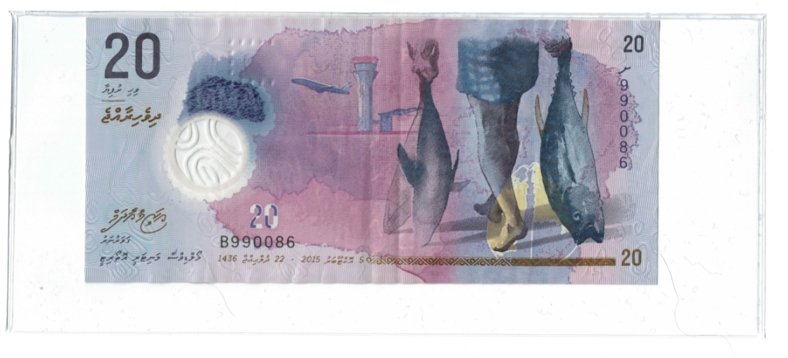 Maldives $20 Bill.PNG