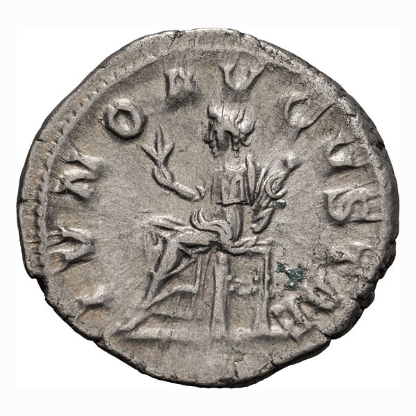 Mamaea denarius reverse.jpg