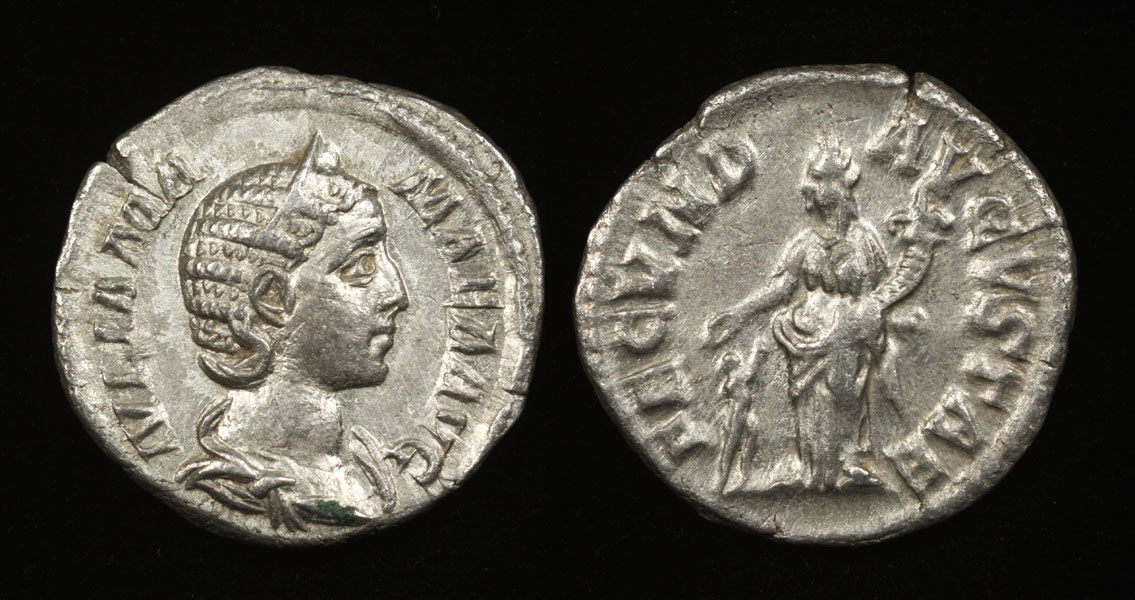 Mamaea-fecund.jpg