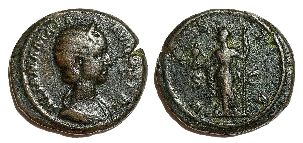 Mamaea VESTA S C Palladium As.jpg