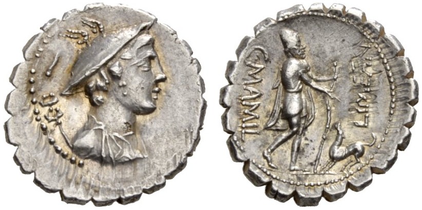 MamiliaDenarius.jpg