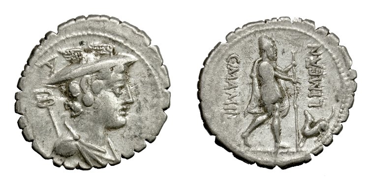 mamilius_limetanus_Cr362.1.jpg