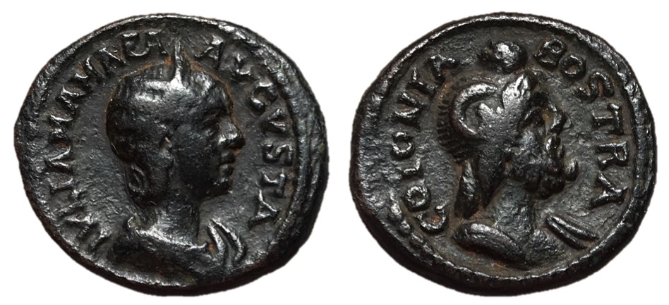 Mammaea Bostra.jpg