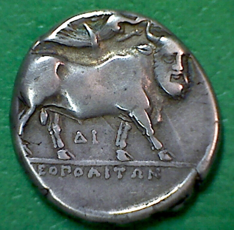Man-Bull B.jpg