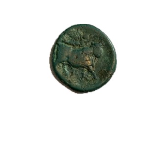 Man Faced Bull Reverse.jpg